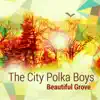 The City Polka Boys - Beautiful Grove